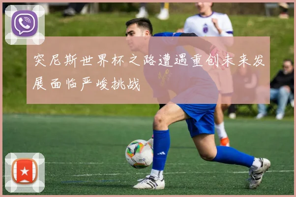 突尼斯世界杯之路遭遇重创未来发展面临严峻挑战