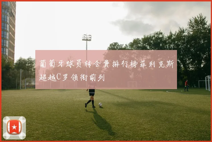 葡萄牙球员转会费排行榜菲利克斯超越C罗领衔前列