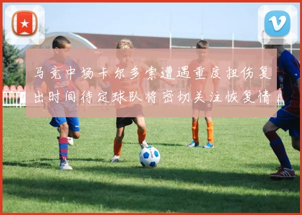 马竞中场卡尔多索遭遇重度扭伤复出时间待定球队将密切关注恢复情况